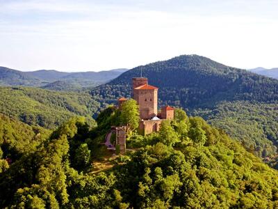 Bild vergrern: Luftaufnahme der Burg Trifels