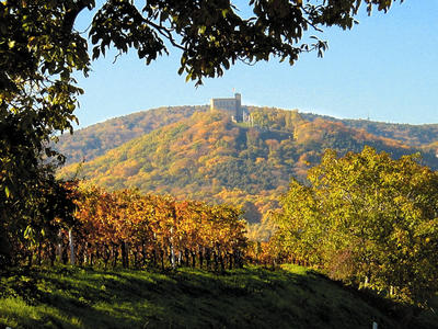 Bild vergrern: Weg zum Hambacher Schloss in Neustadt an der Weinstrae
