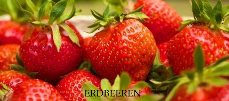 Leckere Pfälzer Erdbeeren © TKS GmbH