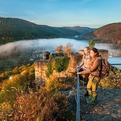 Bild vergr&ouml;&szlig;ern: Wandern rund um Neustadt an der Weinstraße