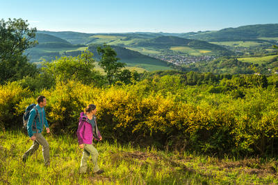 Bild vergrößern: Frühling am Veldenz Wanderweg in der Pfalz © Dominik Ketz