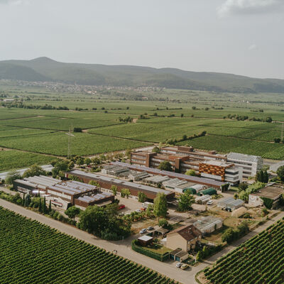 Bild vergrößern: Weincampus Luftaufnahme