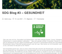 Bild vergr&ouml;&szlig;ern: SDG Blog
