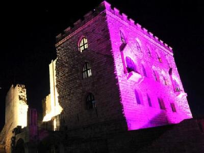 Bild vergrößern: Das rosa illuminierte Hambacher Schloss © Stiftung Hambacher Schloss