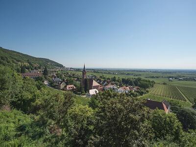 Bild vergr&ouml;&szlig;ern: Radrundtour:<br>Bad Dürkheim - Neustadt