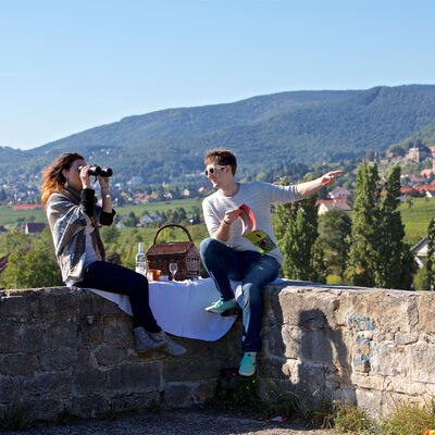 Grillplätze & Picknickplätze