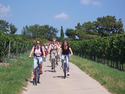 Bild vergr&ouml;&szlig;ern: Radtour vom Wein zum Rhein © Gaby Grun