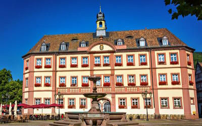 Das historische Rathaus von Neustadt an der Weinstraße 