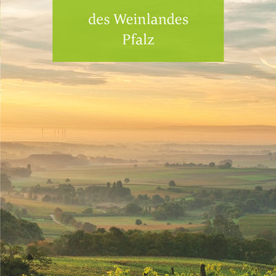 Panoramakarte Pfalz © Pfalzwein e. V.
