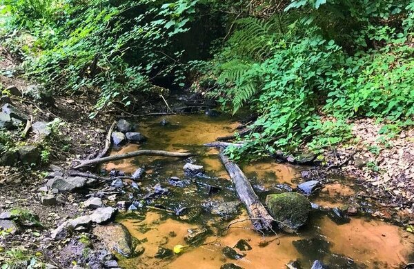 Bild vergr&ouml;&szlig;ern: Totholzanschwemmung im Bachlauf beim Hochwasserrückhaltebecken oberhalb der ehemaligen Tuchfabrik.
Das Bild verlinkt zum Hochwasser- und Starkregenvorsorgekonzept der Stadt Neustadt an der Wienstraße.