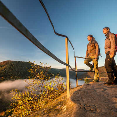 Bild vergr&ouml;&szlig;ern: Weinsteig, Wolfsburgruine Neustadt © Pfalz.Touristik e.V., Foto Dominik Ketz