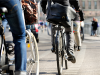 Bild vergr&ouml;&szlig;ern: Fahrradfahrerinnen und Fahrradfahrer im Stadtverkehr. Das Build verkinkt zu weiteren Informationen über das Thema "Radverkehr" in Neustadt an der Weinstraße.