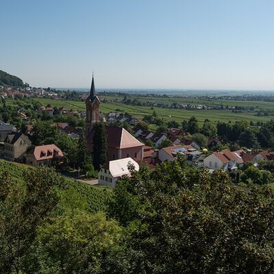 Blick auf das Weindorf Haardt mit Kirche und Weinbergen © Maurizio Gjivovich