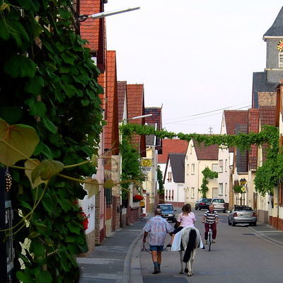 Blick in eine Straße im Weindorf Duttweiler.