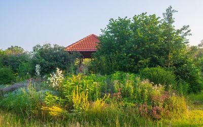 Bild vergr&ouml;&szlig;ern: Pavillon auf dem Campus Lachen