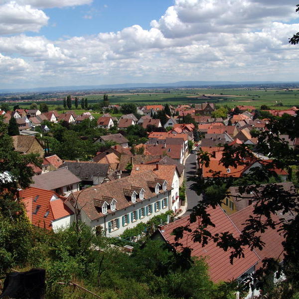 Bild vergrößern: Blick auf das Neustadter Weindorf Königsbach.