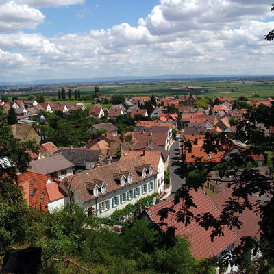 Blick auf das Neustadter Weindorf Königsbach.