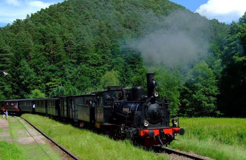 Wandern mit dem Kuckuckbähnel