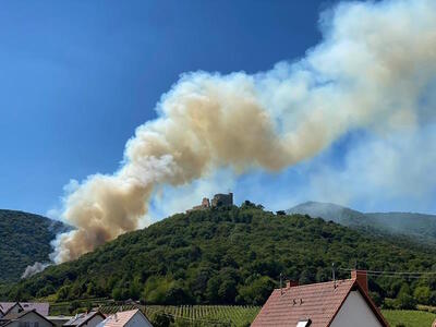 Waldbrand am Hambacher Schloss im Jahr 2022