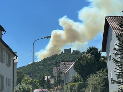 Bild vergrößern: Waldbrand am Hambacher Schloss am 3. August 2022: Anfahrt auf Sicht