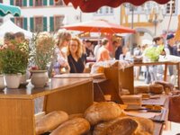 Erlebnis-Sonntag in Neustadt an der Weinstraße