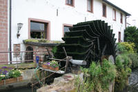 Bild vergrößern: Aumühle in Hassloch ©Tourist-Infromation Haßloch