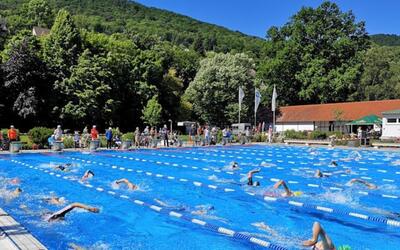 Mußbach-Triathlon: Schwimmende während des Wettbewerbs im Becken des Neustadter Stadionbades.
