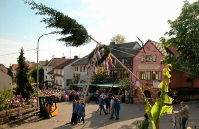 Bild vergr&ouml;&szlig;ern: Maibaumstellen beim Andergasser Fest