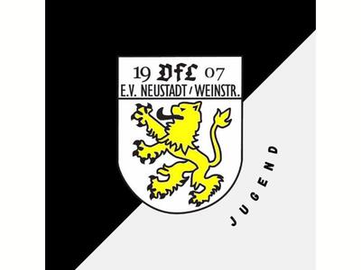 Bild vergr&ouml;&szlig;ern: 88_VfL 1907 Neustadt