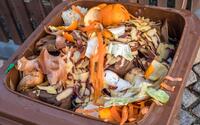 Bild vergr&ouml;&szlig;ern: Das Bild zeigt eine geöffnete und gefüllte Biomülltonne.