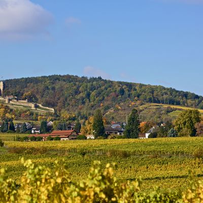 Bild vergr&ouml;&szlig;ern: Weindorf Wachenheim mit der Wanchtenburg ©kgp.de