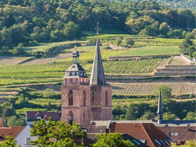 Bild vergr&ouml;&szlig;ern: Die Stiftskirche in Neustadt an der Weinstraße