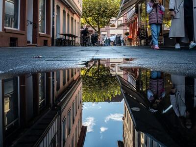 Bild vergr&ouml;&szlig;ern: In einer Pfütze spiegeln sich Häuser und ein Baum in Neustadt an der Weinstraße
