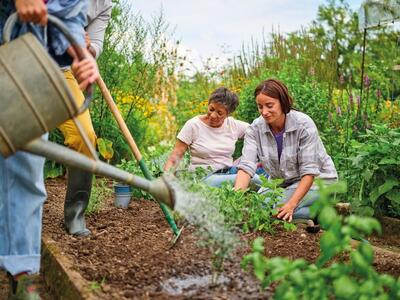 Bild vergr&ouml;&szlig;ern: Menschen arbeiten in einem Garten