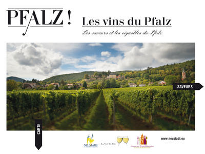 Boxbild_Les vins du Pfalz_FR