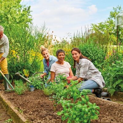 Bild vergr&ouml;&szlig;ern: Menschen arbeiten gemeinsam im Garten