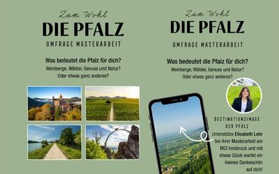 Bild vergr&ouml;&szlig;ern: Umfrage Masterarbeit
