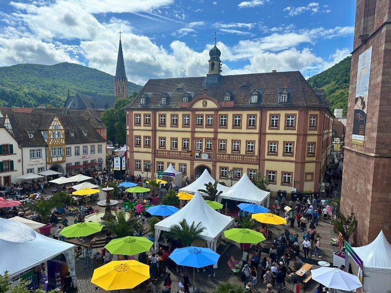 Der Rheinland-Pfalz-Tag 2025 in Neustadt an der Weinstraße © Stadtmarketing Neustadt