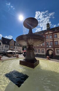 Bild vergr&ouml;&szlig;ern: Marktplatzbrunnen