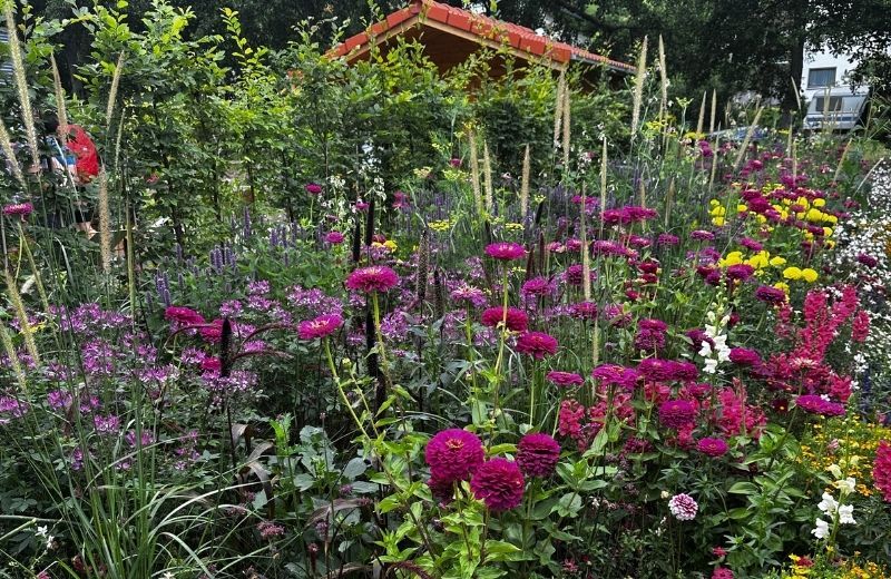 Landesgartenschau Tal X