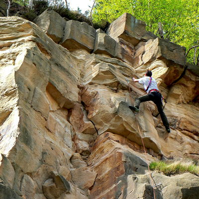 Bild vergr&ouml;&szlig;ern: Klettern im Klettergarten
