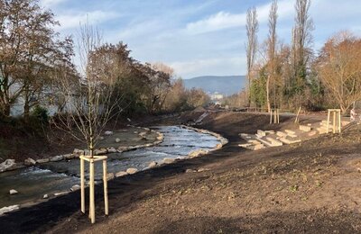 Bild vergr&ouml;&szlig;ern: Blick auf die neuen Bäume am Speyerbach