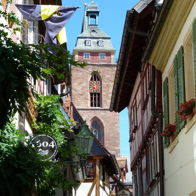 Bild vergr&ouml;&szlig;ern: Die historische Metzgergasse in Neustadt an der Weinstraße.