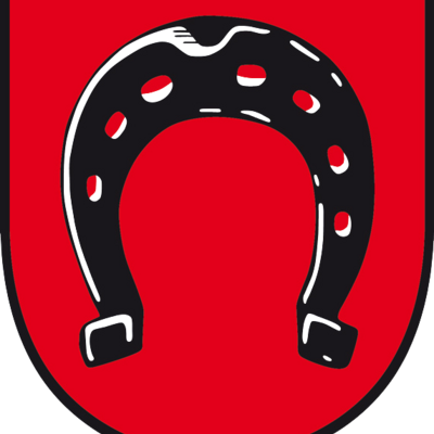 Das Bild zeigt das Wappen des Neustadter Weindorfes Diedesfeld