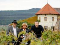 Bild vergr&ouml;&szlig;ern: © Weingut Schäfer