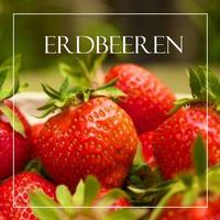 Bild vergrößern: Leckere Pfälzer Erdbeeren © TKS GmbH