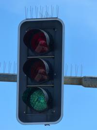 Bild vergr&ouml;&szlig;ern: Ampel