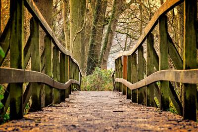 Bild vergr&ouml;&szlig;ern: Brücke