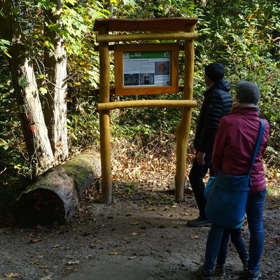 Bild vergrößern: Informationstafel aus Holz im Wald, zwei Menschen davor, die sie betrachten