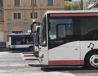 Bild vergrößern: Busse in einer Reihe am Hauptbahnhof in Neustadt an der Weinstraße